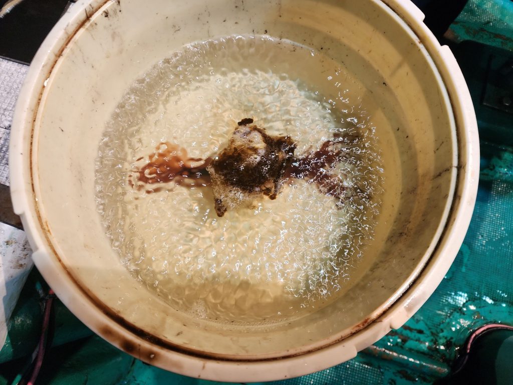 速報‼️