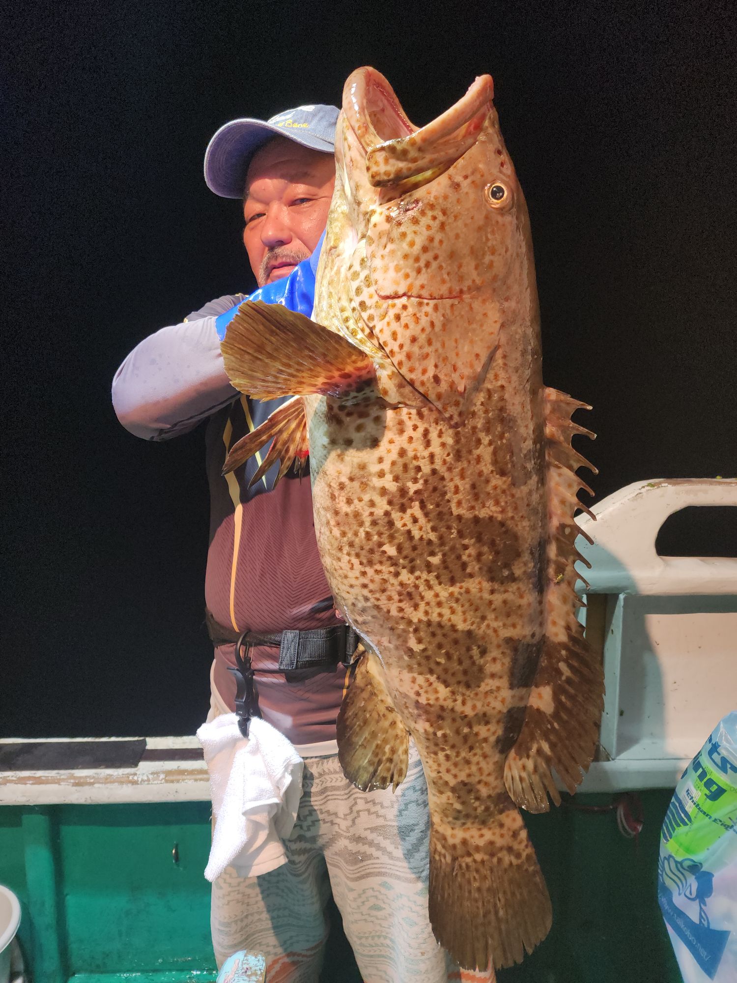また 根に潜られたー！（＞＜）