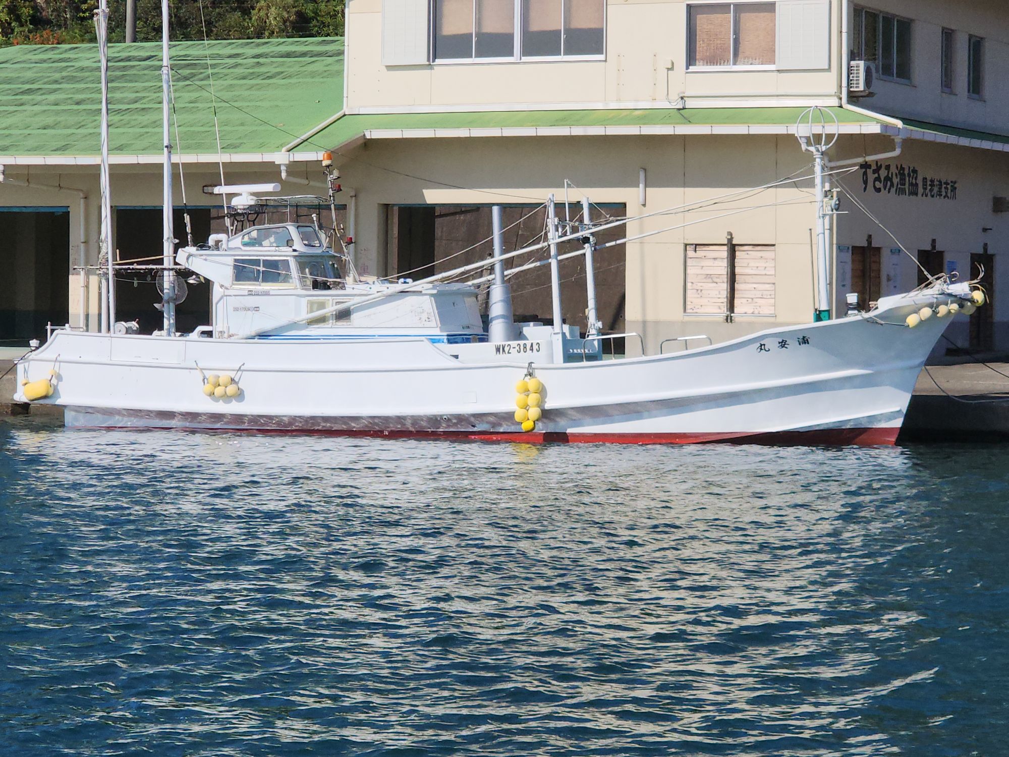 売り船、情報!!