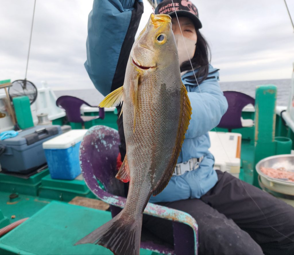 ジャンボイサギ!\(^o^)/