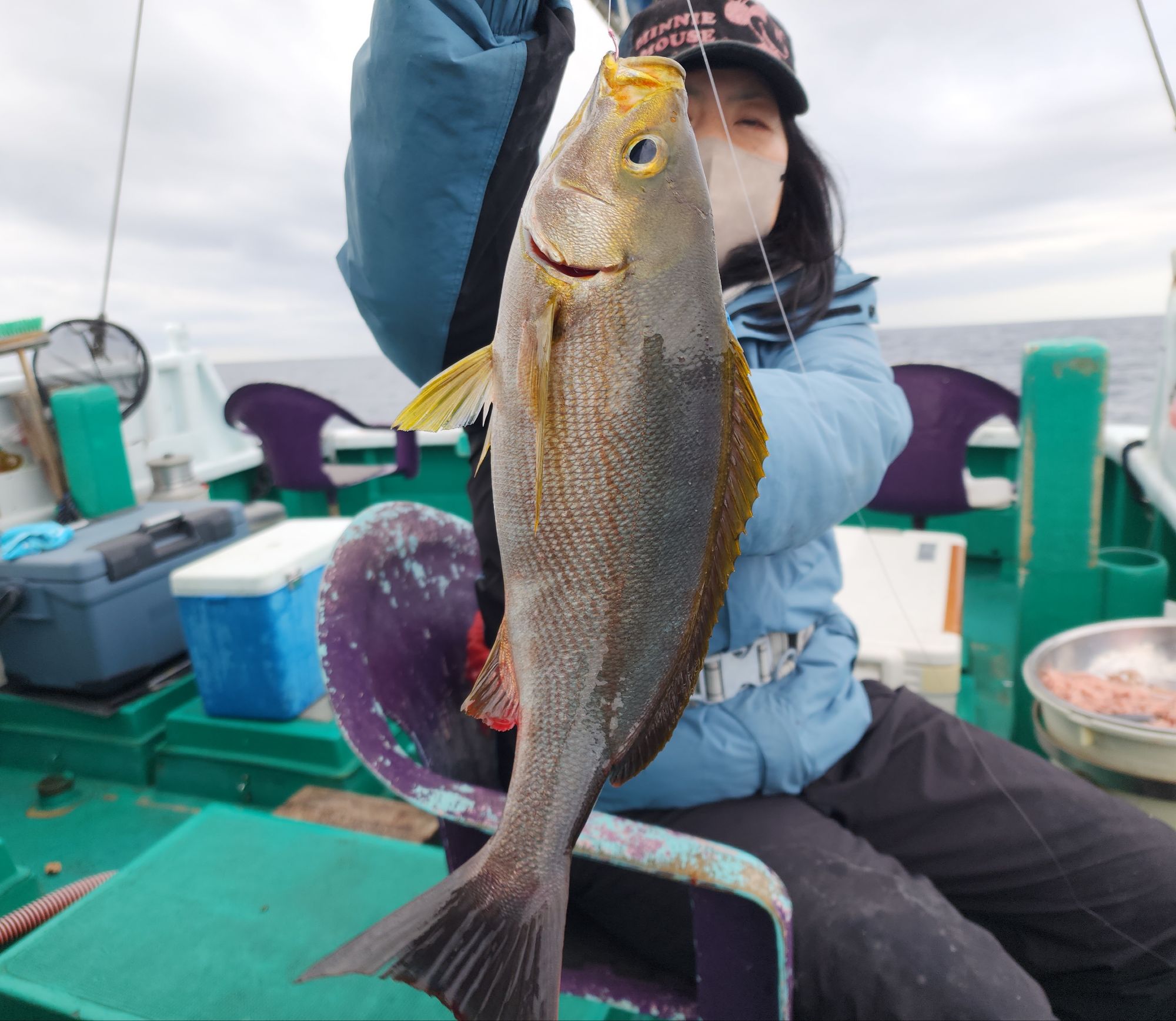 ジャンボイサギ！！