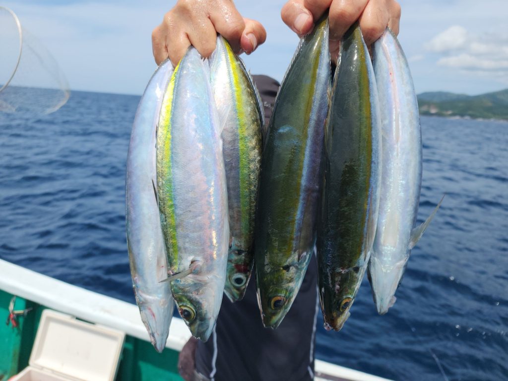 旬魚・４種！！＼（＾o＾）／