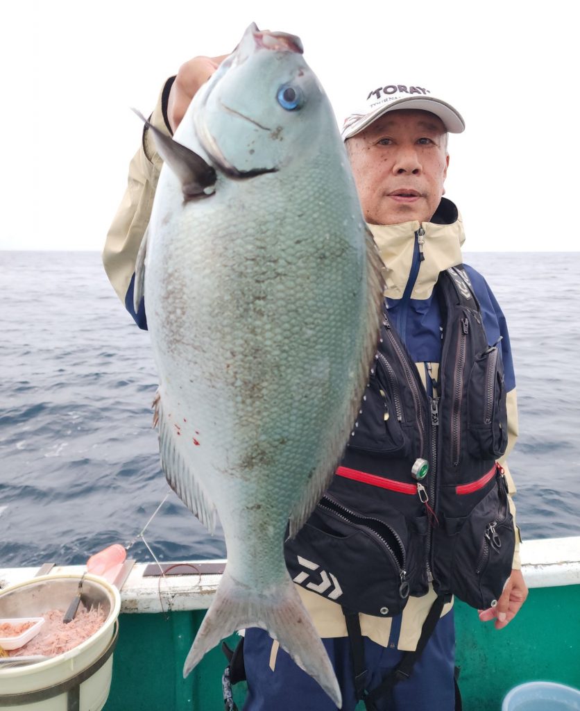 尾長グレ！！