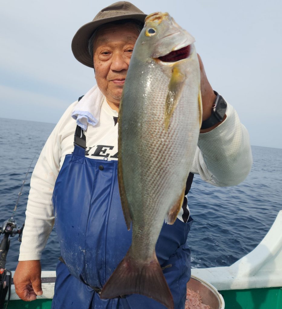 速報‼️